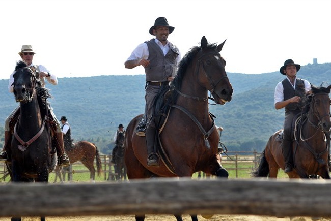 cavalli-maremmani-butteri-maremma_650x435