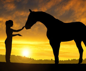 cavallo-maremmano-la-doma-salire