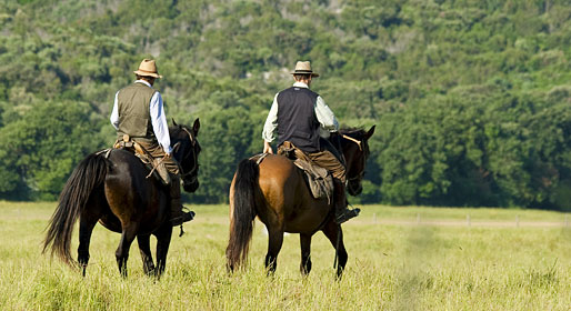 cavallo-maremmano-butteri-duo-in-passeggiata-retro